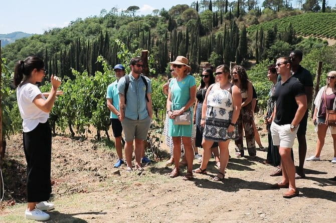 Chianti Wine Tour from Florence - The scenic road into Sienese Chianti Classico