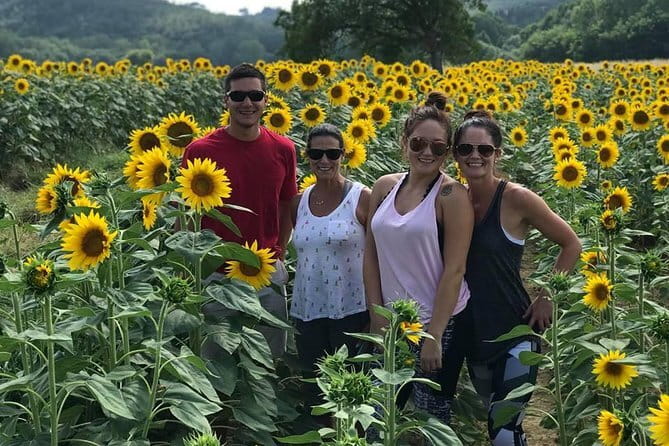 Chianti Wineries Tour with Tuscan Lunch and San Gimignano - What this Chianti day trip actually gives you