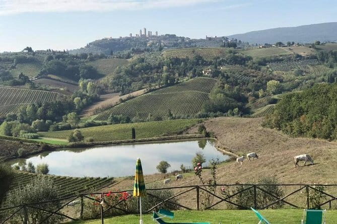 Chianti Wineries Tour with Tuscan Lunch and San Gimignano - First winery: a personal start in the Chianti countryside