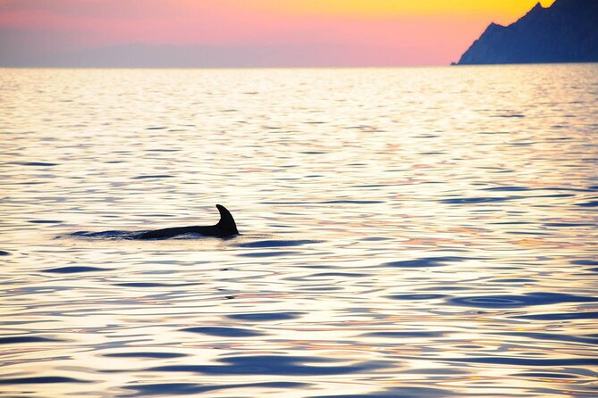 Cinque Terre Sunset Cruise with Aperitif from Monterosso - What the 2-hour-45-minute cruise is really like