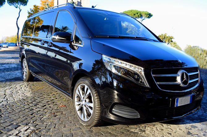 Civitavecchia Private Transfer: Rome to Civitavecchia Cruise Port - Arriving at Civitavecchia Cruise Port