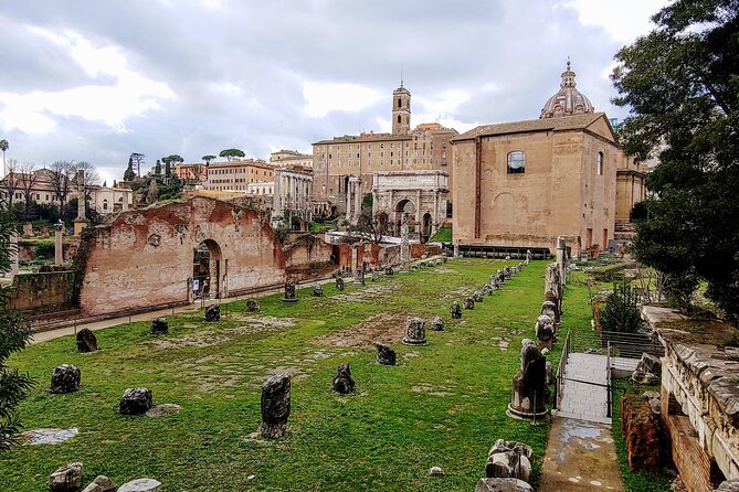 Colosseum & Ancient Rome Guided Walking Tour - The Roman Forum, where public life took shape