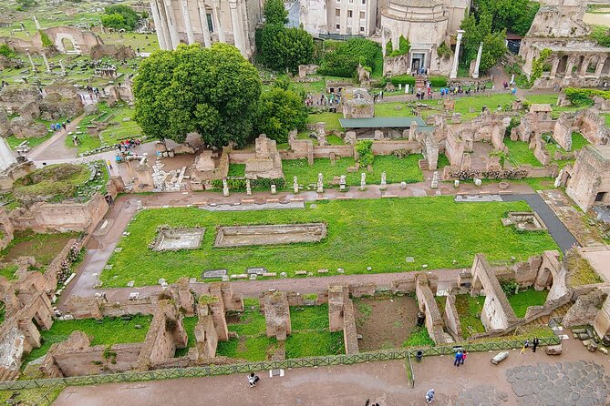 Colosseum & Ancient Rome Guided Walking Tour - What the price includes, and what it does not