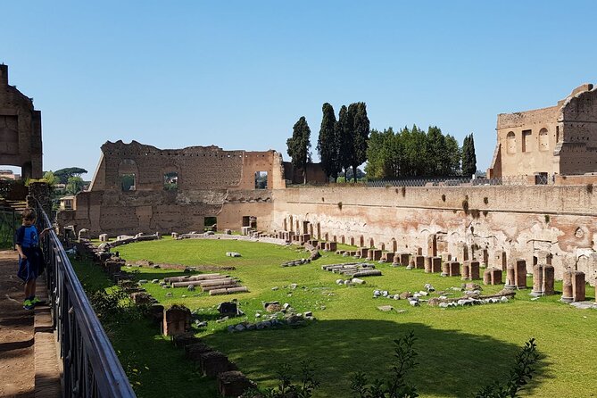 Colosseum Arena Floor Roman Forum and Palatine Hill Live Guide - How much does $31.46 buy you?