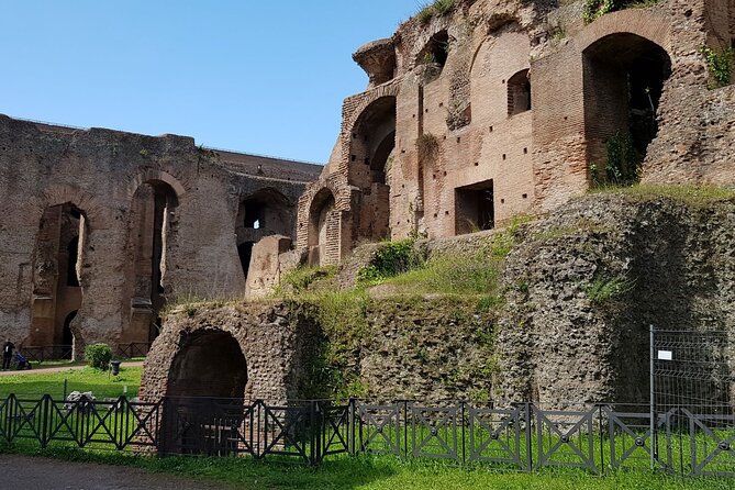 Colosseum Arena Floor Roman Forum and Palatine Hill Live Guide - Is this tour right for you?