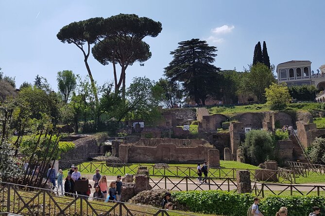 Colosseum Arena Floor Roman Forum and Palatine Hill Live Guide - Roman Forum: where Rome’s public life took shape