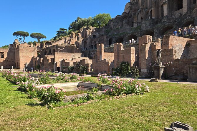 Colosseum Arena Floor, Roman Forum & Palatine Hill Guided Group Tour - Timing, heat, and the physical demands