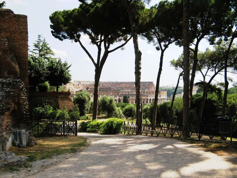 Colosseum, Forum & Palatine Hill Guided Walking tour - Palatine Hill and the view over Rome