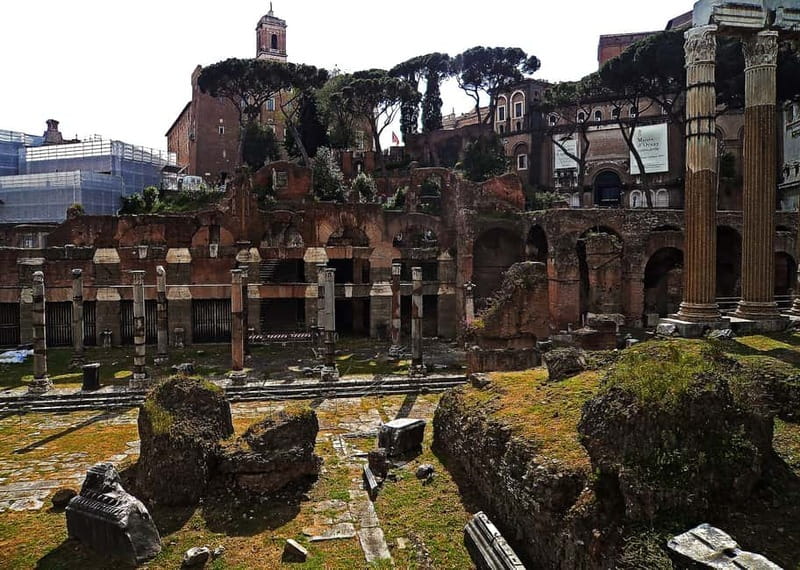Colosseum, Forum & Palatine Hill Guided Walking tour - Is $72.49 good value?