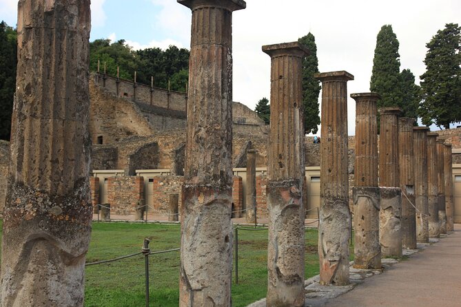 Day Trip of Pompeii, Herculaneum and Vesuvius from Naples - The real price is higher than $145.12
