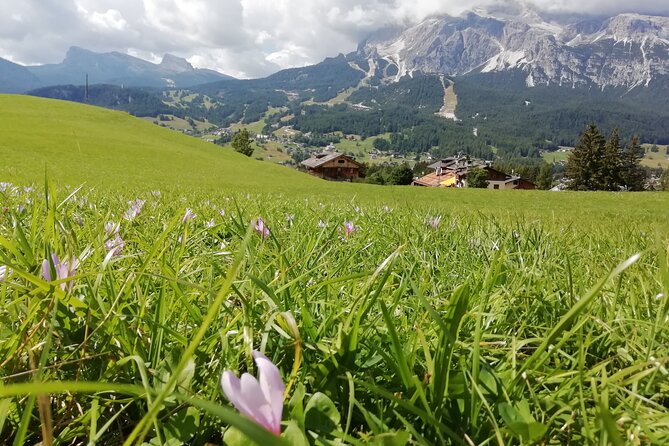Discover the Dolomites, Cortina and Lake Braies from Venice - A quick look at Lake Misurina