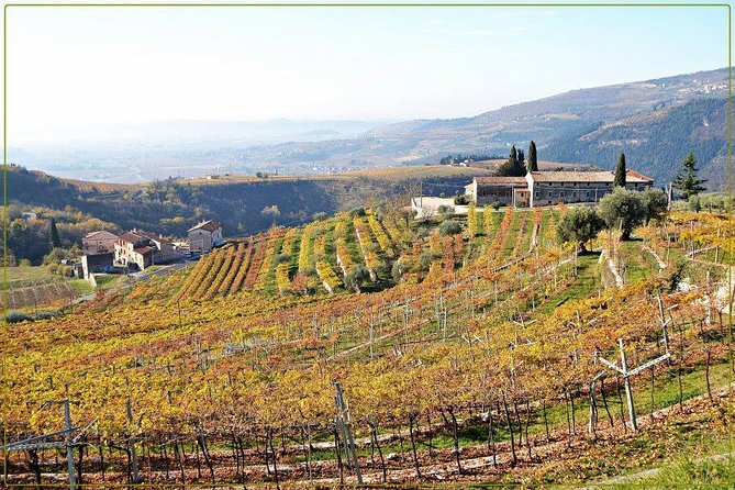 Discover Valpolicella Vineyards and Wine Tasting Experience - The price and what you really pay