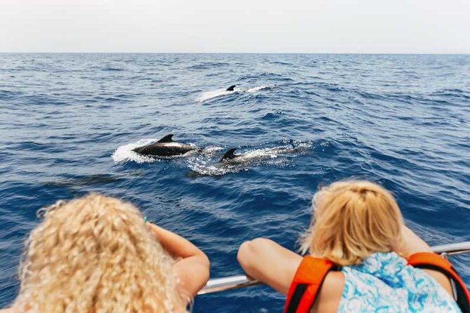 Dolphin Watching Tour with Snorkeling from Olbia - Figarolo Beach offers the best turquoise-water pause