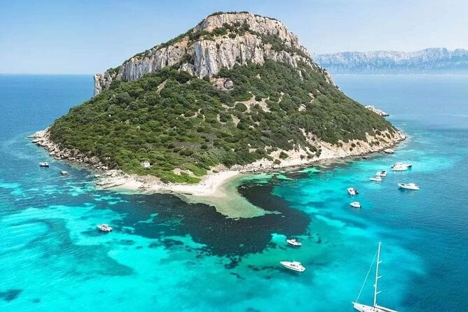 Dolphin Watching Tour with Snorkeling from Olbia - Who will enjoy this boat trip most?