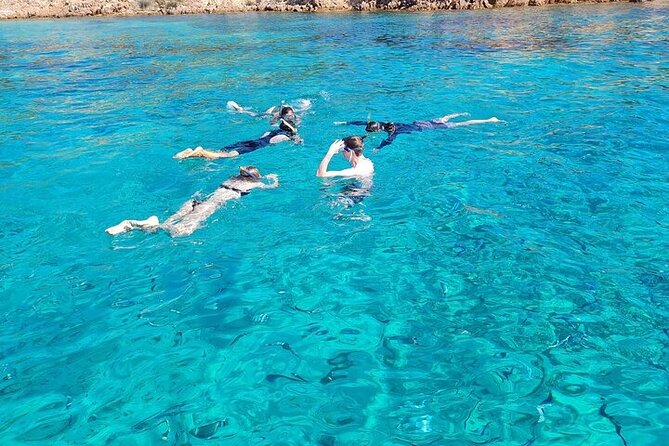 Dolphin Watching Tour with Snorkeling from Olbia - Capo Figari brings cliffs, caves, and a Sardinian snack