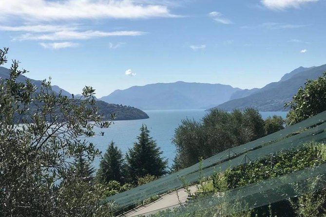 Domaso: Wine Tasting at the Winery on Como Lake - Walking Through a Family Winery