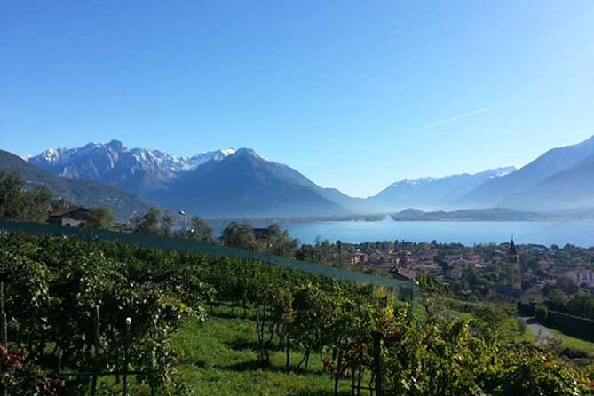 Domaso: Wine Tasting at the Winery on Como Lake - Three Wines on the Lake Como Terrace