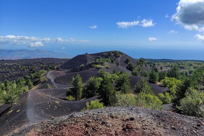 Etna and Alcantara Gorges Excursion - What the guide adds to the day