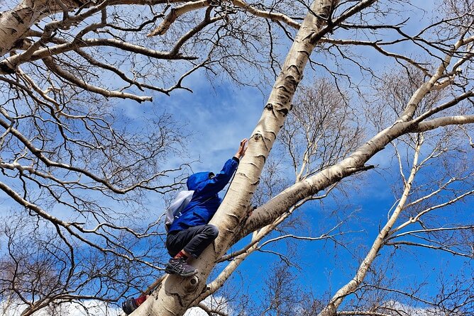 Etna Family Tour Excursion for families with children on Etna - Why this Etna tour works well for children
