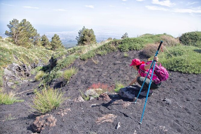 Etna Family Tour Excursion for families with children on Etna - Who should book the Etna Family Tour?
