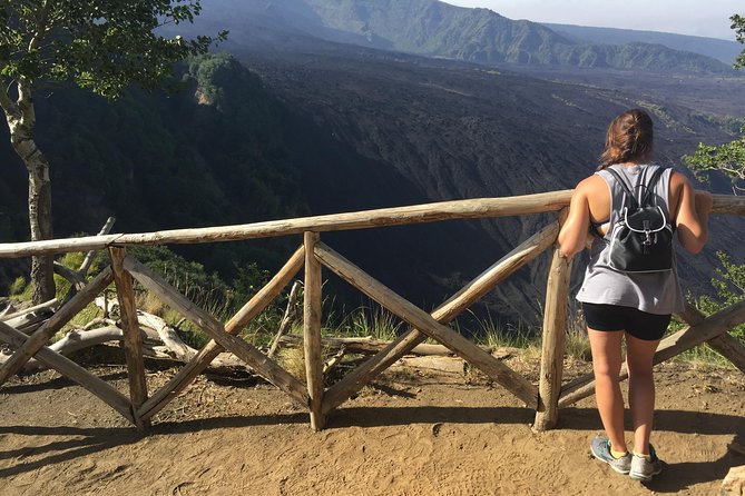 Etna Morning Tour (starting from Catania) - What the $102.84 price gets you