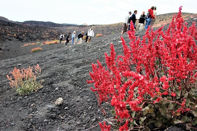 Etna Morning Trip - What this Etna tour really offers