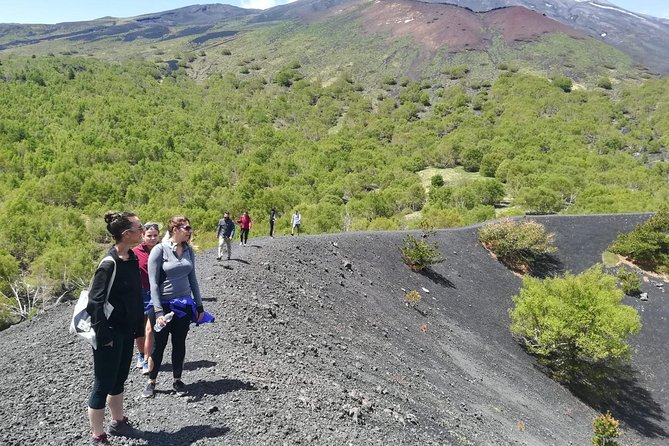 Etna, Wine and Alcantara Tour - From Taormina - Walking the volcanic craters at Monti Sartorius