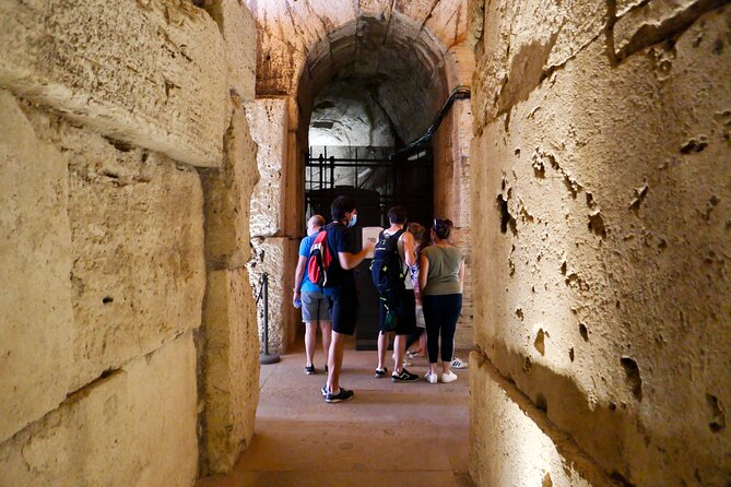 Expert Guided Tour of Colosseum Arena OR Underground, and Forum - Palatine Hill gives the ruins a wider meaning