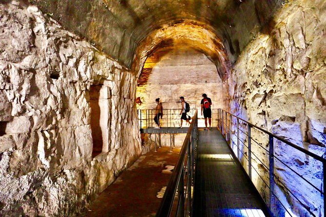 Expert Guided Tour of Colosseum Arena OR Underground, and Forum - What the guide adds inside the Colosseum