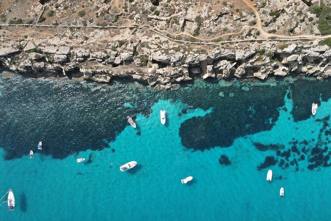 Favignana and Levanzo, Egadi islands tour by boat from Trapani - Cala Minnola, pine trees, and the final swim