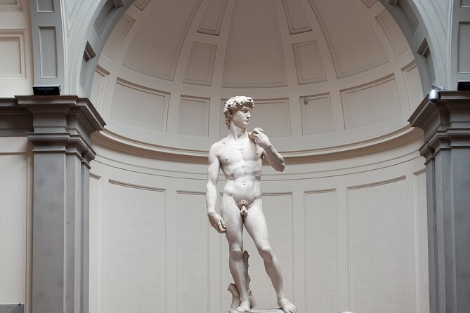 Florence Accademia Guided Tour – Shared, Private & Combo Options - Skip-the-line reality at Via Ricasoli