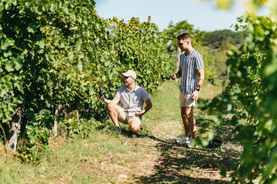 Florence: Chianti Wineries Tour with Wine Tasting - Is $56.37 a good price?