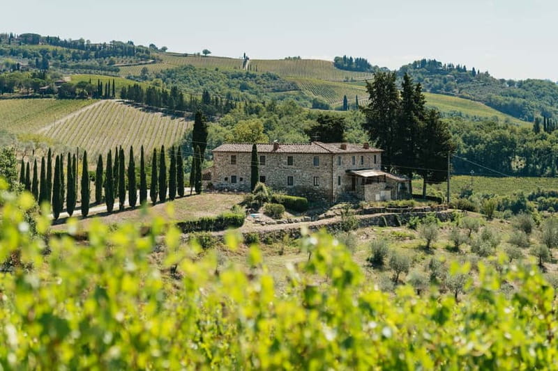 Florence: Chianti Wineries Tour with Wine Tasting - Why this Florence wine tour works well