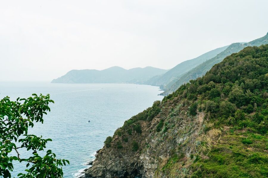 Florence: Cinque Terre Day Trip with Optional Hike - What the $152.93 Price Really Covers