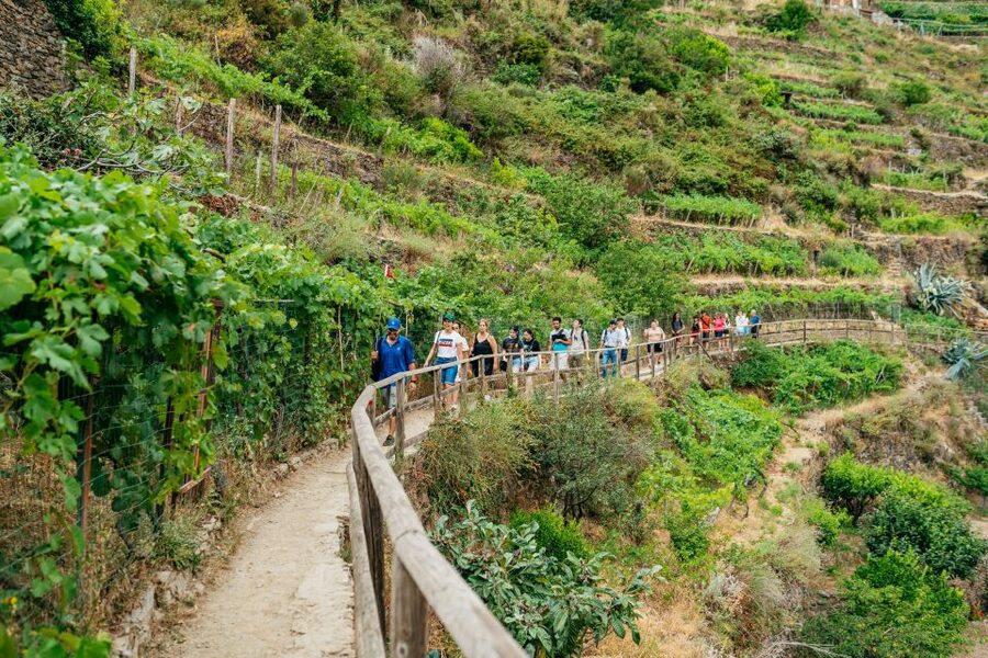 Florence: Cinque Terre Day Trip with Optional Hike - Manarola and the First Taste of Cinque Terre