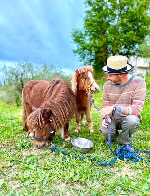 Florence: Countryside Tour with Wine Tasting & Pasta Class - Getting from Florence to Fucecchio