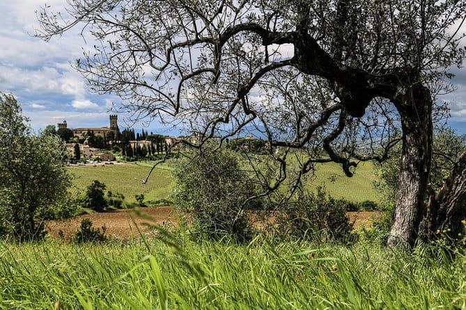 Florence Day Trip: Chianti Wine Tasting, Siena, San Gimignano - The Chianti winery lunch is the heart of the day