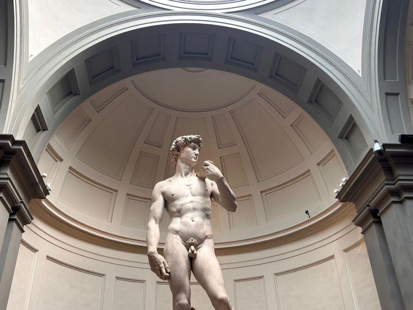 Florence: Michelangelo's David Entrance Ticket and Audio App - Key points to know before booking