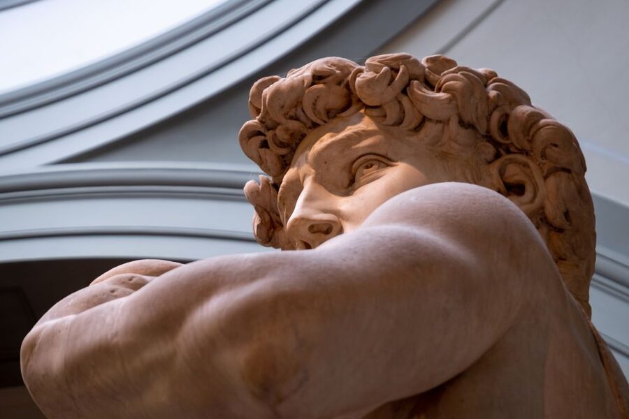 Florence: Michelangelo's David Priority Ticket & Audio App - Meeting Michelangelo’s David in the Tribune