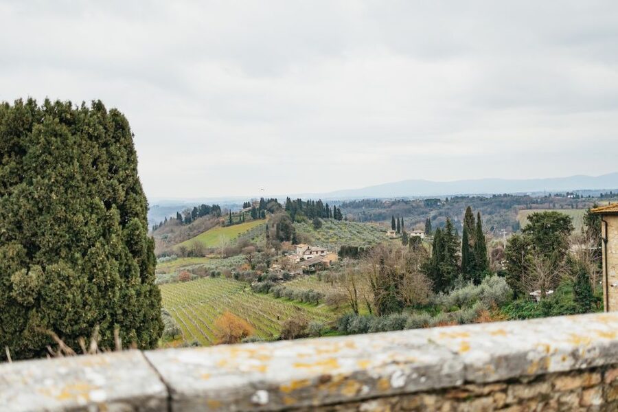 Florence: Pisa, Siena, San Gimignano, and Chianti Experience - Should you book it?