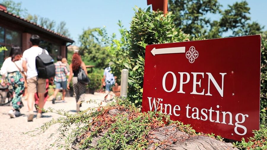Florence: S. Gimignano, Siena, Chianti & Wine Tasting Lunch - Key points to know before booking