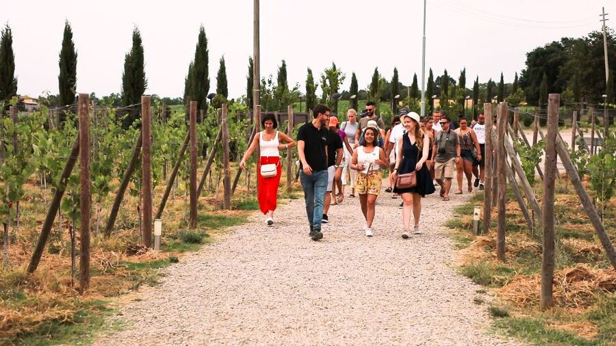 Florence: S. Gimignano, Siena, Chianti & Wine Tasting Lunch - Monteriggioni and the seasonal itinerary