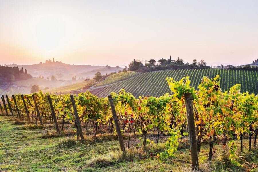 Florence: Siena & San Gimignano Day Trip with Lunch & Wine - A Tuscan lunch at an organic winery
