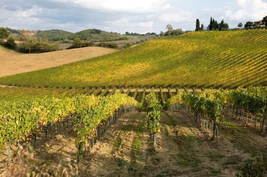 Florence: Siena & San Gimignano Day Trip with Lunch & Wine - The return to Florence and the value of the schedule