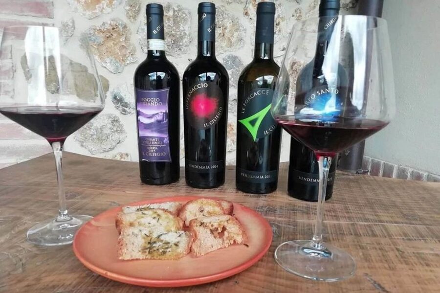 Florence: Siena & San Gimignano Day Trip with Lunch & Wine - Should you book it?