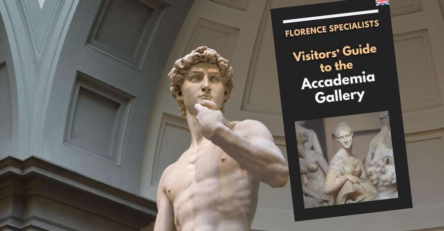 Florence: Timed Entry Ticket to Michelangelo's David & eBook - The Gipsoteca and nineteenth-century sculpture