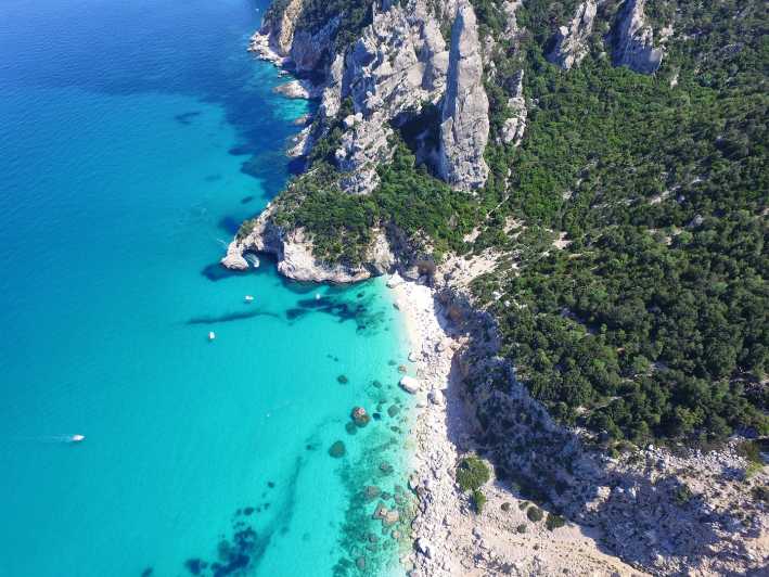 From Arbatax: Full-Day Guided Boat Tour of the Baunei Coast - Grotta del Fico and the cave’s monk seal connection