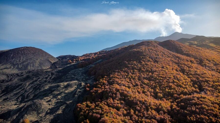 From Catania: Mt. Etna, Wine and Alcantara Tour - Why this Etna day trip works so well