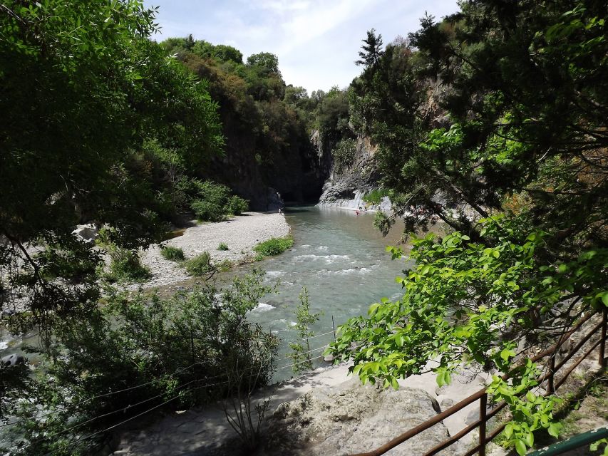 From Catania: Mt. Etna, Wine and Alcantara Tour - Guides make the difference