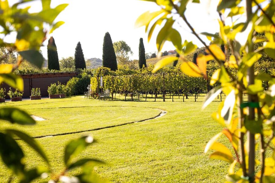 From Florence: Chianti Half-Day Afternoon Tour - Getting to Villa Costanza without wasting money